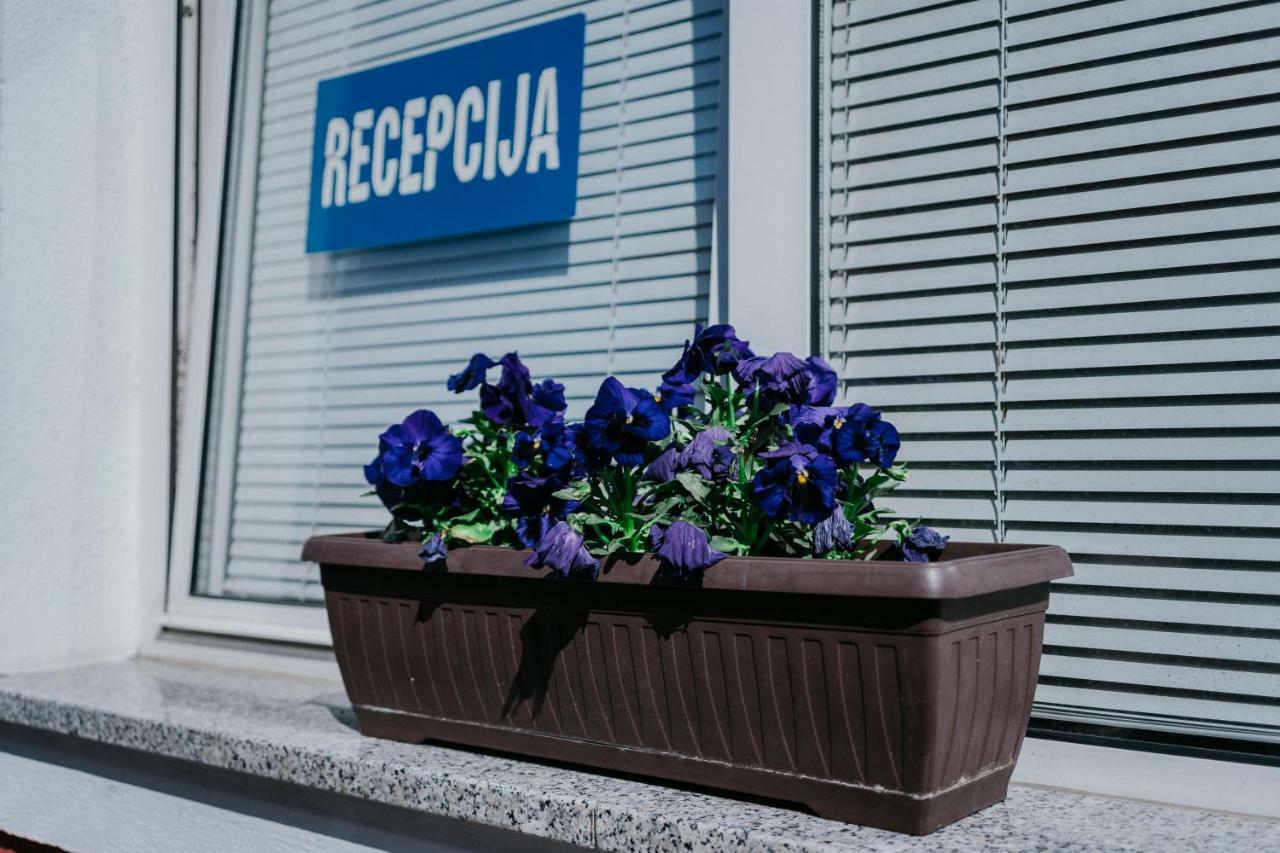 Guest House Sv. Nikola Dugo Selo エクステリア 写真