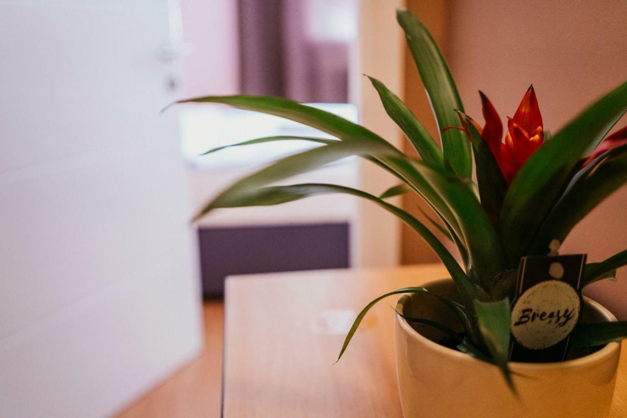 Guest House Sv. Nikola Dugo Selo エクステリア 写真